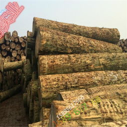 廠家直銷精品輻射松工地木材 品質、優勢與家具應用